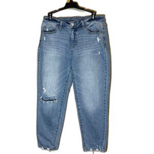 Time and Tru Women’s Jeans Mid Rise Distressed Sz 10 (curvy)